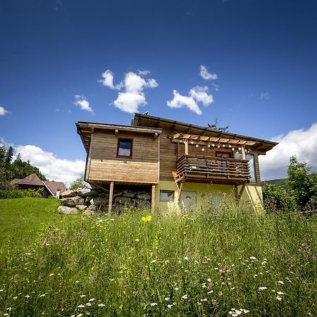Gaestehaus Biobauernhof Mandl Murau Exterior photo